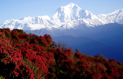 Himalayan Treks 